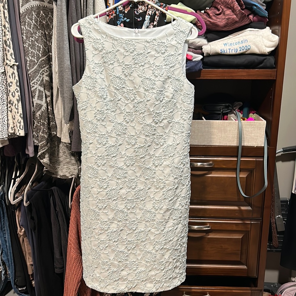 Baby blue shimmer dress with rose pattern sewn into the fabric. Size 12